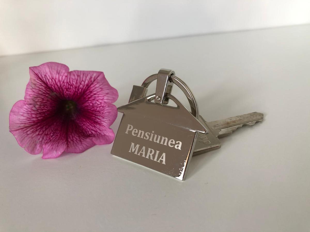 Pensiunea Maria Colibiţa Exteriör bild